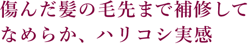 傷んだ髪の毛先まで補修してなめらか、ハリコシ実感